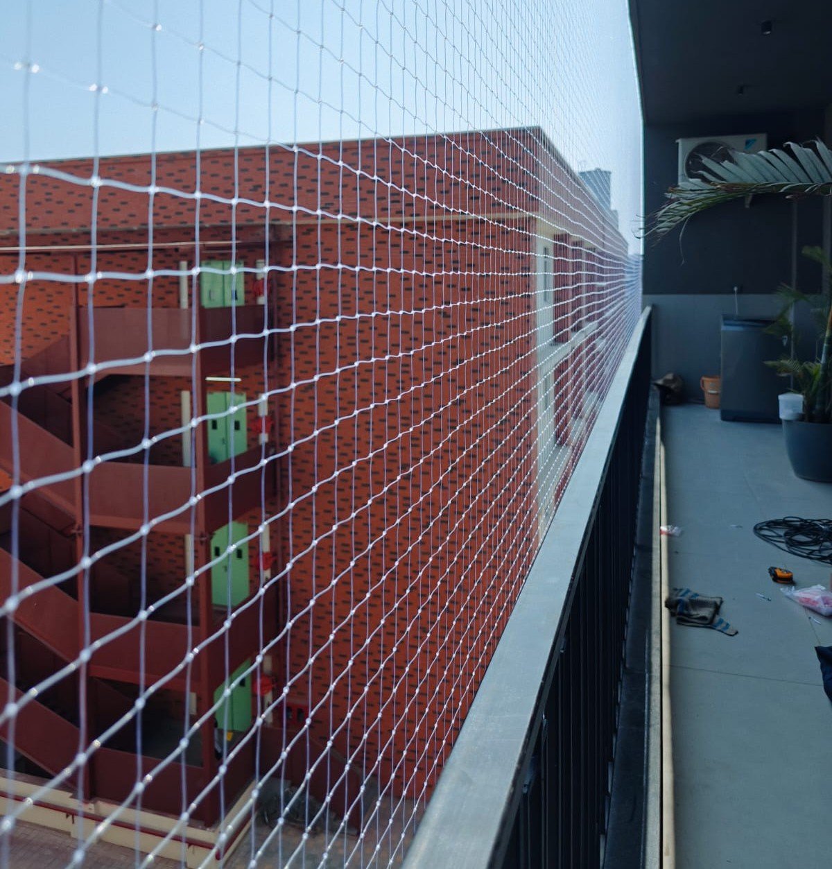 Best Pigeon Net Services