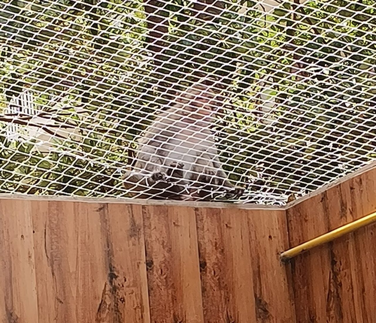 filter: 0; fileterIntensity: 0.0; filterMask: 0; captureOrientation: 90;
algolist: 0;
multi-frame: 1;
brp_mask:0;
brp_del_th:null;
brp_del_sen:null;
delta:null;
module: photo;hw-remosaic: false;touch: (-1.0, -1.0);sceneMode: 32768;cct_value: 0;AI_Scene: (-1, -1);aec_lux: 0.0;aec_lux_index: 0;albedo:  ;confidence:  ;motionLevel: -1;weatherinfo: null;temperature: 45;