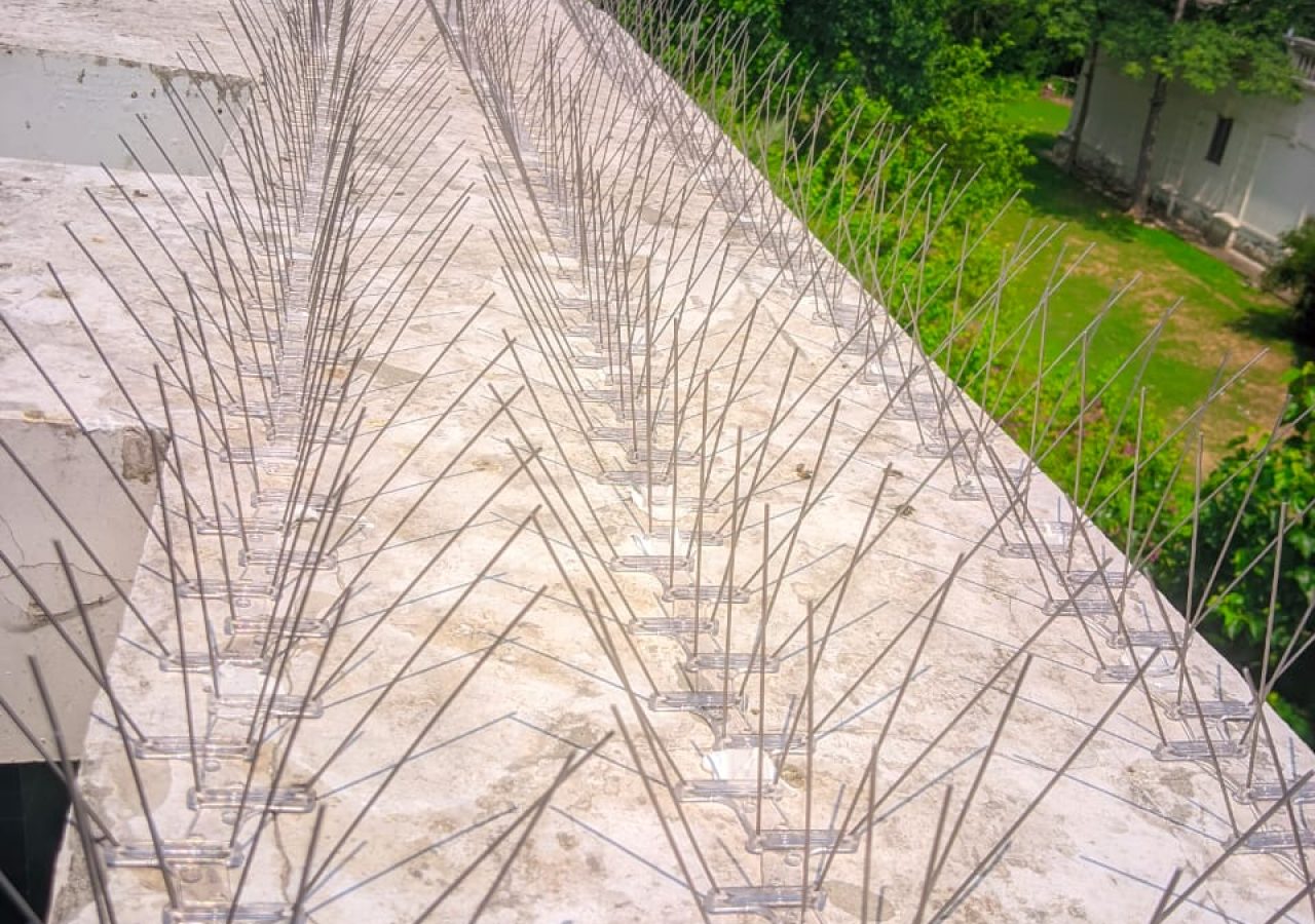 WhatsApp Image 2025-12-09 at 4.09.20 PM